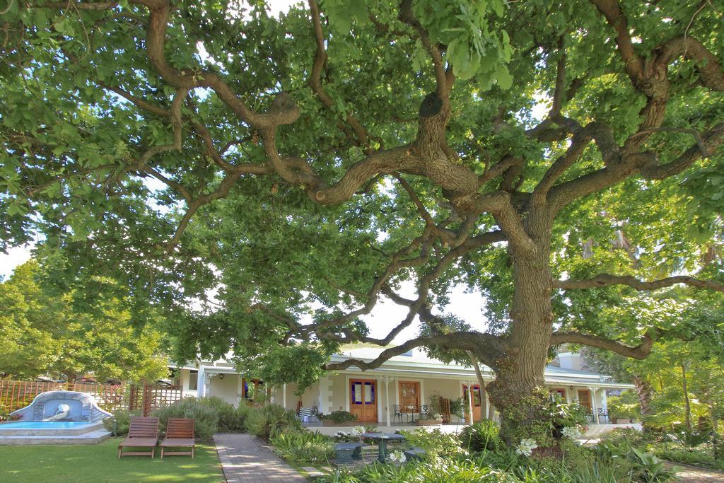 Montagu Vines Guesthouse Exterior photo