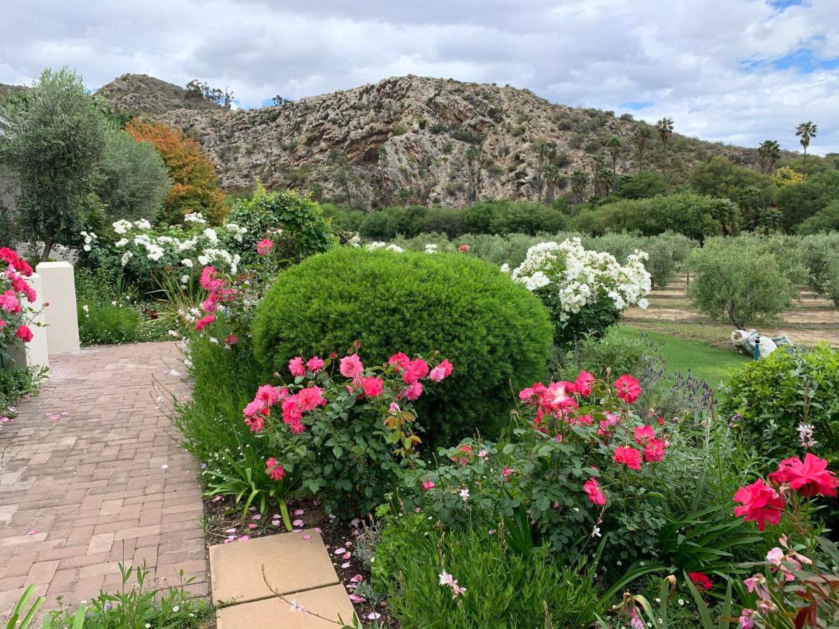 Montagu Vines Guesthouse Exterior photo